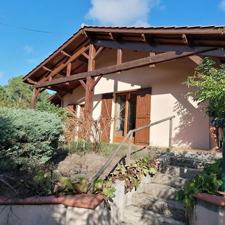 Maison Au Dessus Du Lac De Biscarrosse Kültér fotó