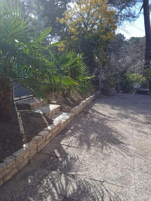 Maison Au Dessus Du Lac De Biscarrosse Kültér fotó